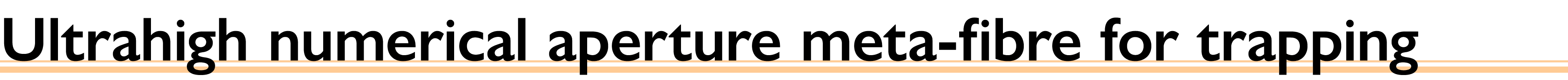 Ultrahigh numerical aperture meta-fibre for trapping