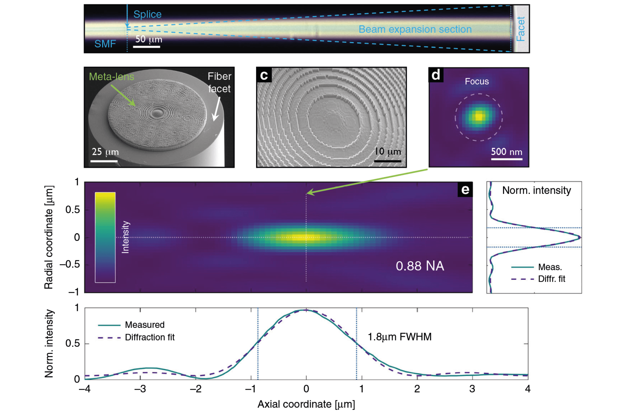 Light: Science & Applications, doi:10 1038 s41377-021-00491-z