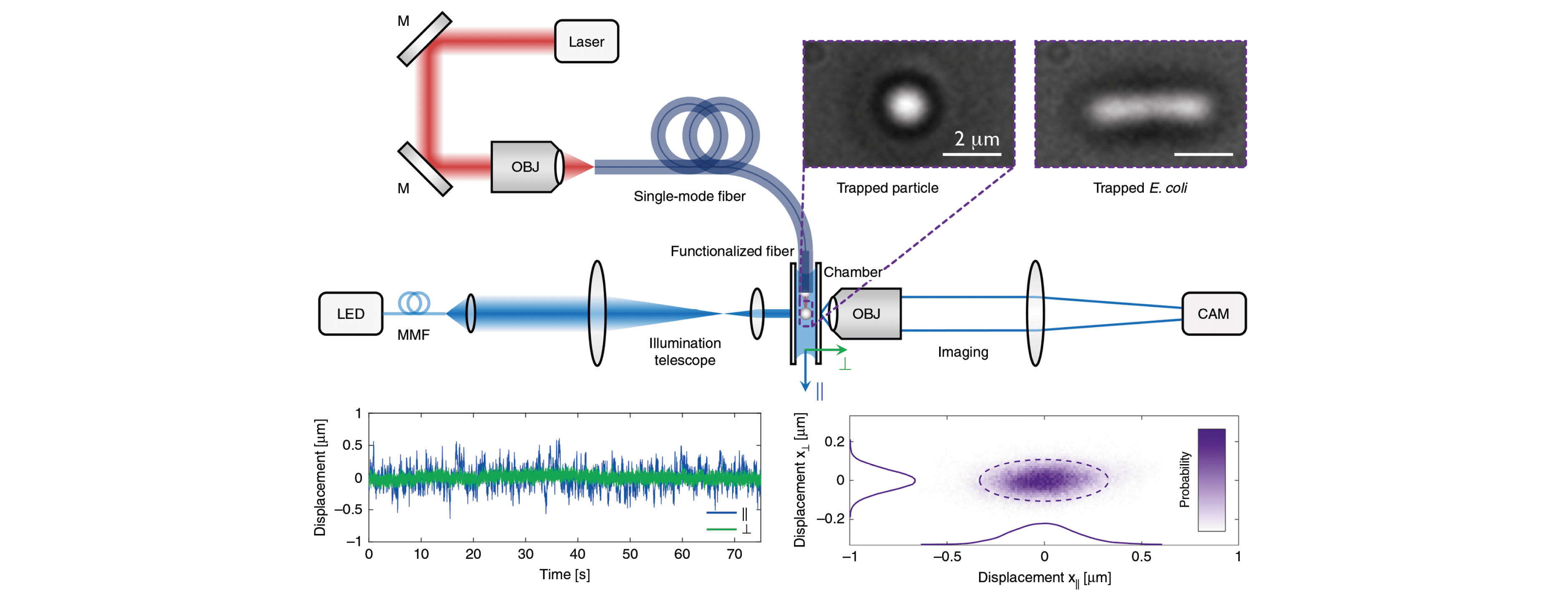 Light: Science & Applications, doi:10 1038 s41377-021-00491-z