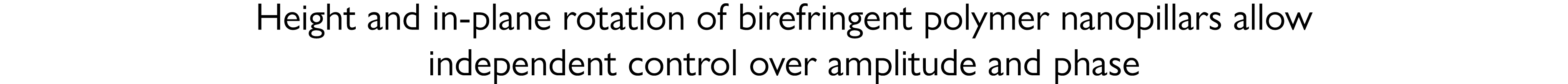 Height and in-plane rotation of birefringent polymer nanopillars allow independent control over amplitude and phase