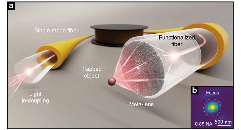 Light: Science & Applications, doi:10 1038 s41377-021-00491-z