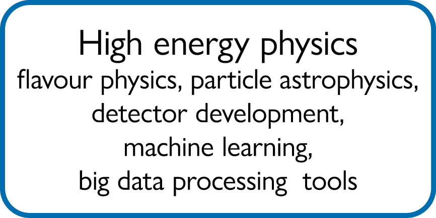 High energy physics flavour physics, particle astrophysics, detector development, machine learning, big data processi...