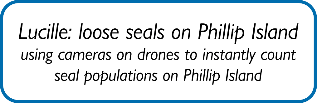 Lucille: loose seals on Phillip Island using cameras on drones to instantly count seal populations on Phillip Island