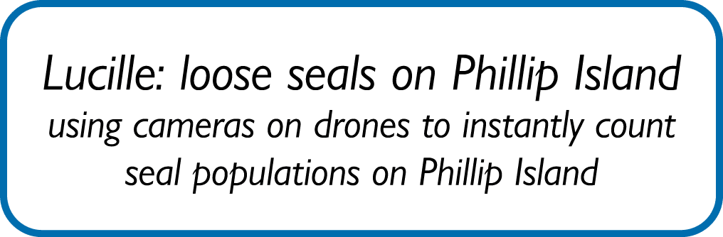 Lucille: loose seals on Phillip Island using cameras on drones to instantly count seal populations on Phillip Island