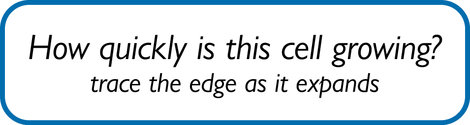How quickly is this cell growing? trace the edge as it expands